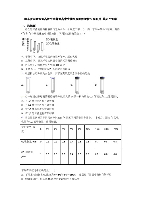 山东省冠县武训高级中学普通高中生物细胞的能量供应和利用 单元及答案