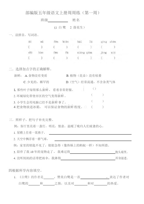 部编版  五年级上册语文同步试题-周周练(第一周)1 白鹭 2  落花生 