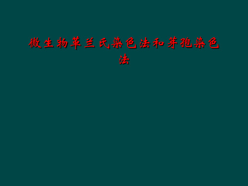 微生物革兰氏染色法和芽孢染色法