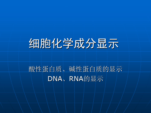 细胞实验-细胞化学成分显示