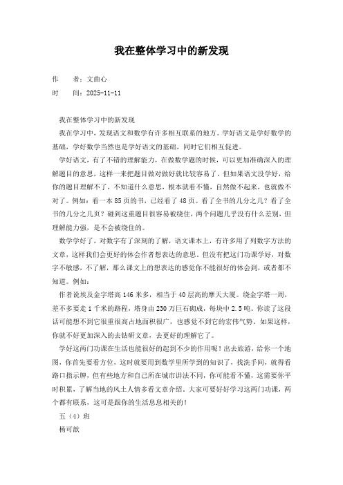 我在整体学习中的新发现