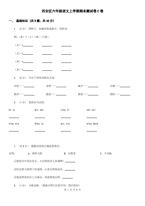 西安区六年级语文上学期期未测试卷C卷