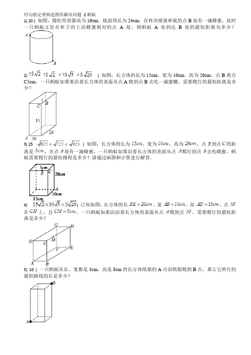 用勾股定理构造图形解决问题 2 蚂蚁