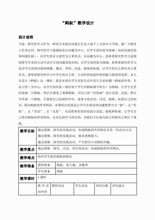 教科小学科学三上《2.5、蚂蚁》word教案(4)