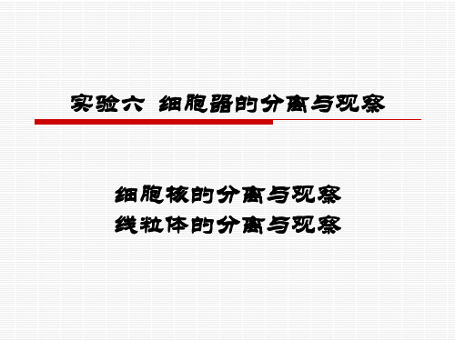 实验六细胞器的分离与观察总结