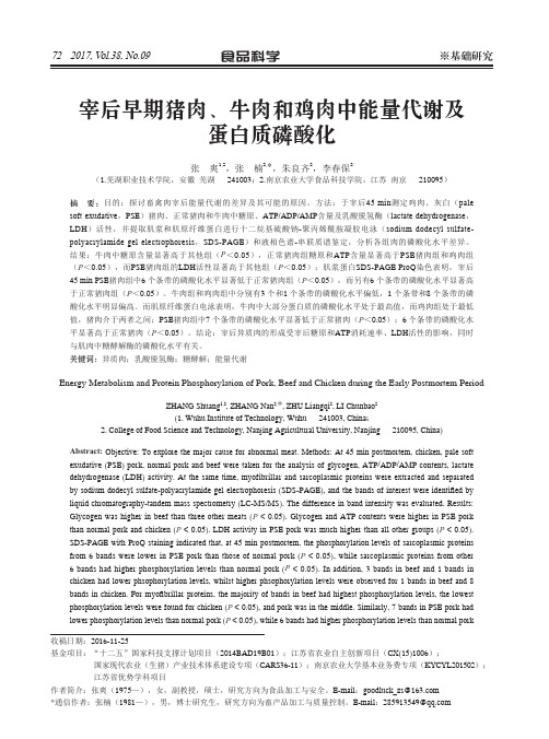 宰后早期猪肉、牛肉和鸡肉中能量代谢及蛋白质磷酸化