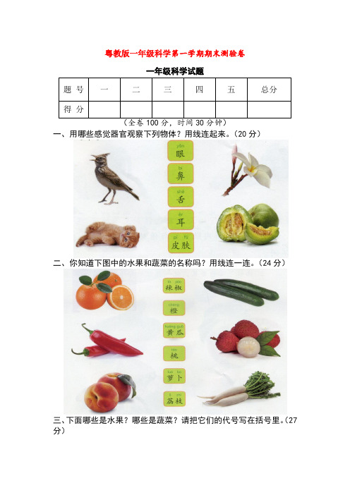 最新粤教版一年级科学第一学期期末测验卷