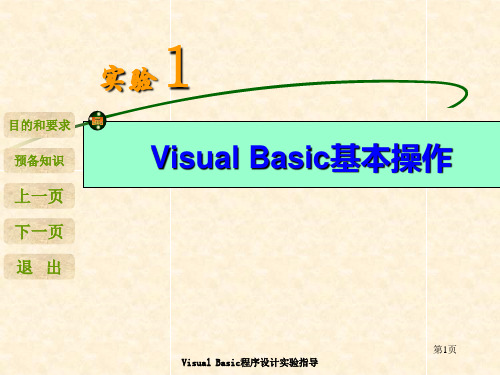 VB实验1 Visual Basic基本操作