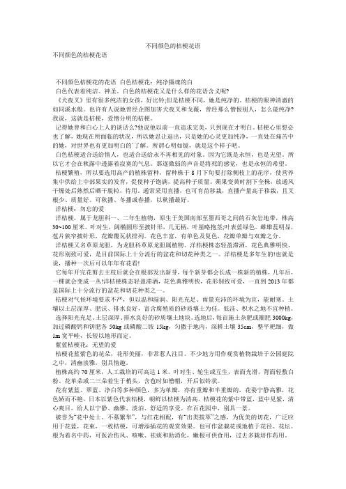 不同颜色的桔梗花语