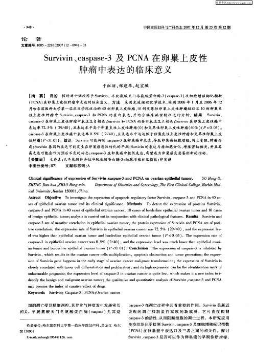 Survivin、caspase-3及PCNA在卵巢上皮性肿瘤中表达的临床意义