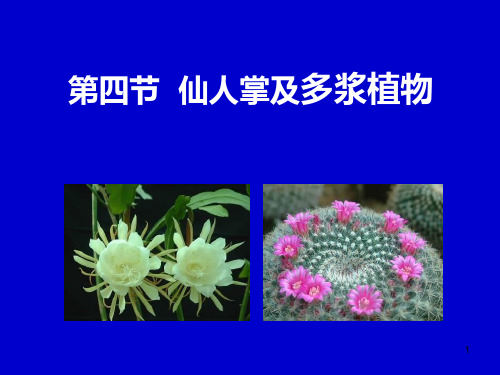 第三节仙人掌及多浆植物PPT课件