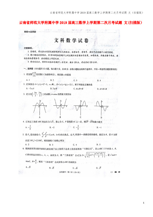 云南省师范大学附属中学2019届高三数学上学期第二次月考试题 文(扫描版)