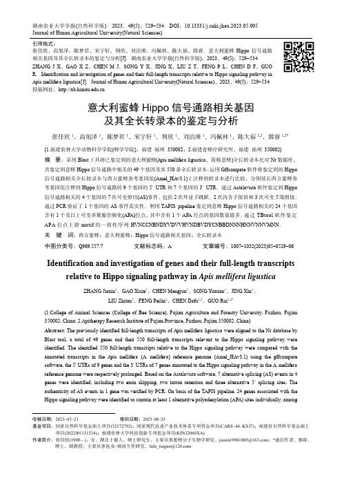 意大利蜜蜂Hippo_信号通路相关基因及其全长转录本的鉴定与分析