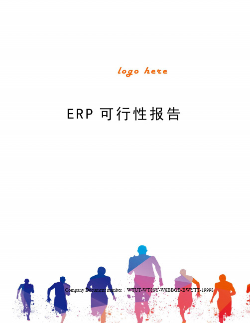 ERP可行性报告