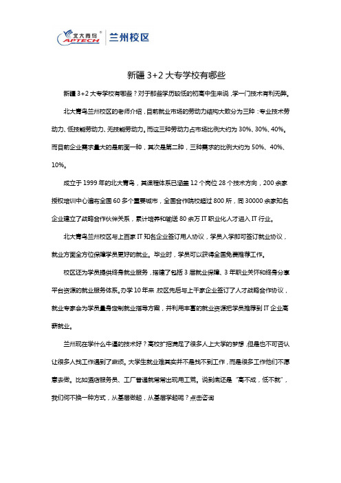 新疆3+2大专学校有哪些