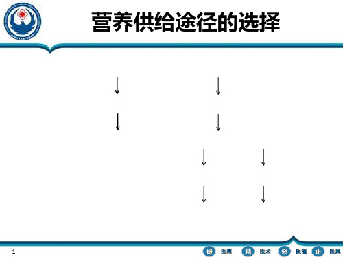 医学课件鼻肠管留置方法