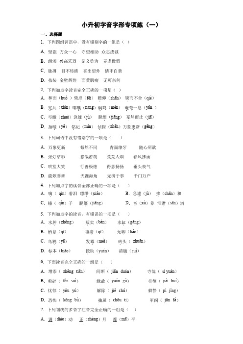 小升初复习+字音字形专项练(一)(试题)2022-2023学年语文六年级下册