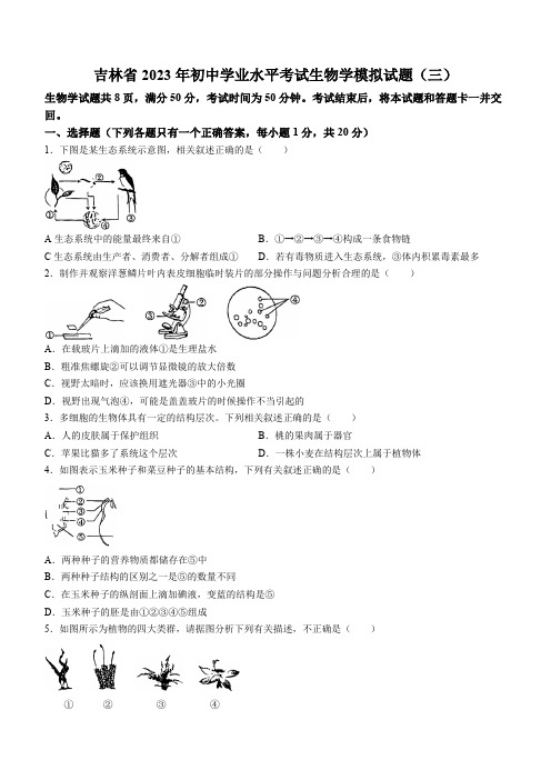 2023年吉林省四平市中考三模生物试题(含答案)