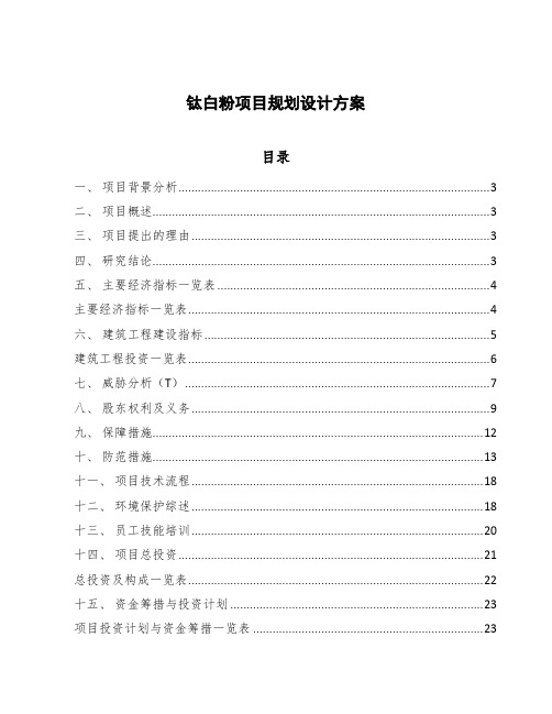 钛白粉项目规划设计方案