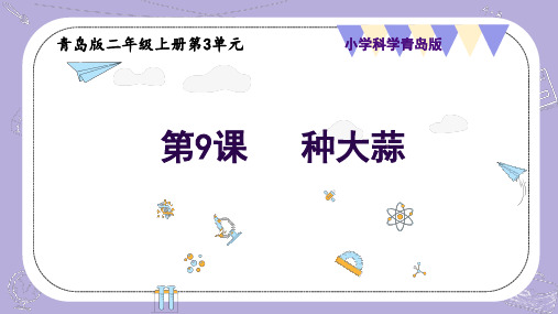 3.9 种大蒜(课件)-二年级科学上册(青岛版)