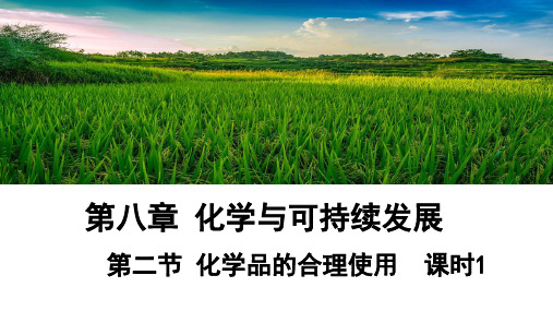 8.2 课时1 化肥、农药的合理施用 合理用药(教学课件) 高一下化学人教版(2019)必修2