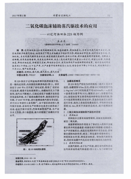 二氧化碳泡沫辅助蒸汽驱技术的应用——以辽河油田杜229块为例