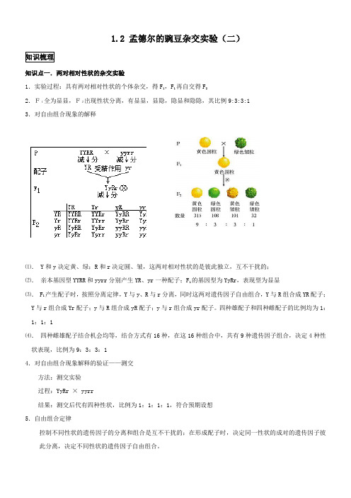 孟德尔的豌豆杂交实验(二)