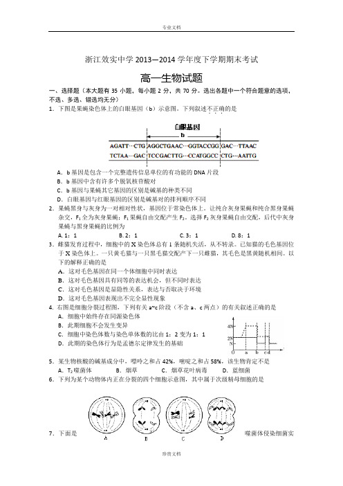 浙江省宁波效实中学2013-2014学年高一下学期期末考试 生物试卷 Word版含答案