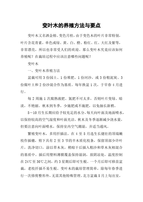 变叶木的养殖方法与要点