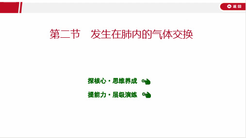 最新人教版七年级下册生物第三章 第二节 发生在肺内的气体交换