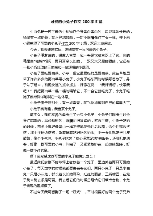 可爱的小兔子作文200字5篇