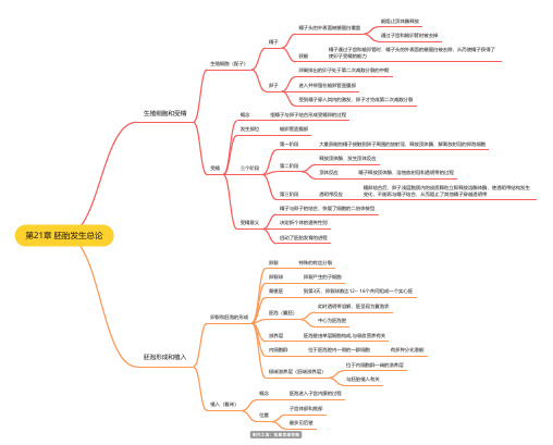 第21章 胚胎发生总论思维导图