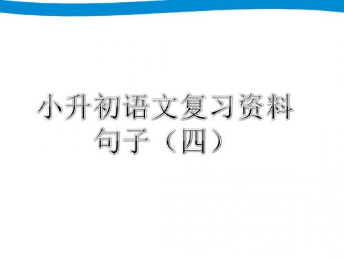 小升初小学语文语文专项复习--句子复习课件