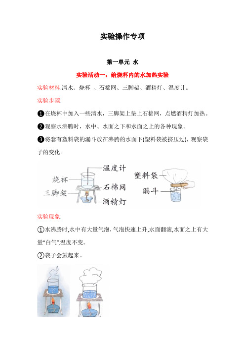 最新教科版科学三年级上册实验操作专项训练