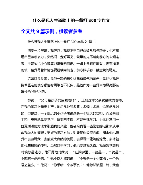 什么是我人生道路上的一盏灯300字作文