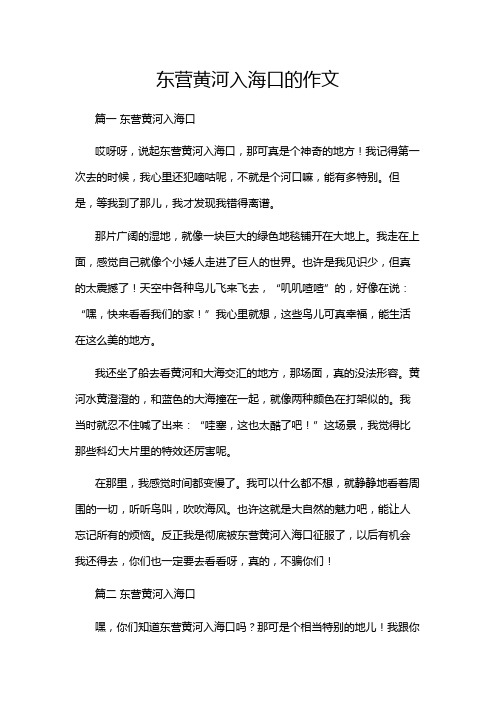 东营黄河入海口的作文