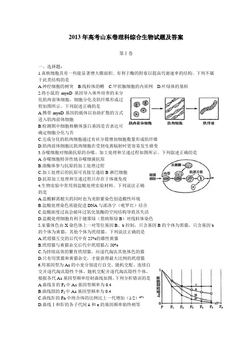 2013年山东高考理综生物试题及答案