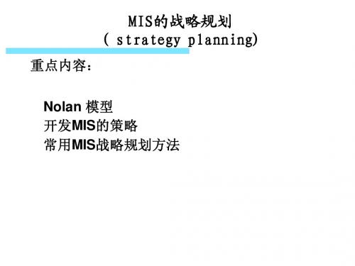 管理信息系统(4)MIS的战略规划00