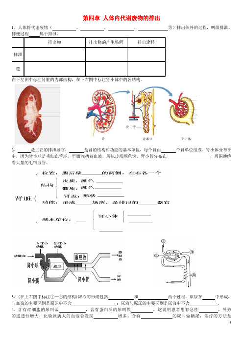 七年级生物下册 第3单元 第四章 人体内废物的排出练习 济南版