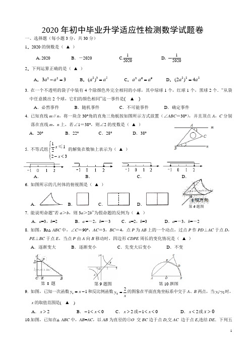 2020升学适应性检测数学试题卷