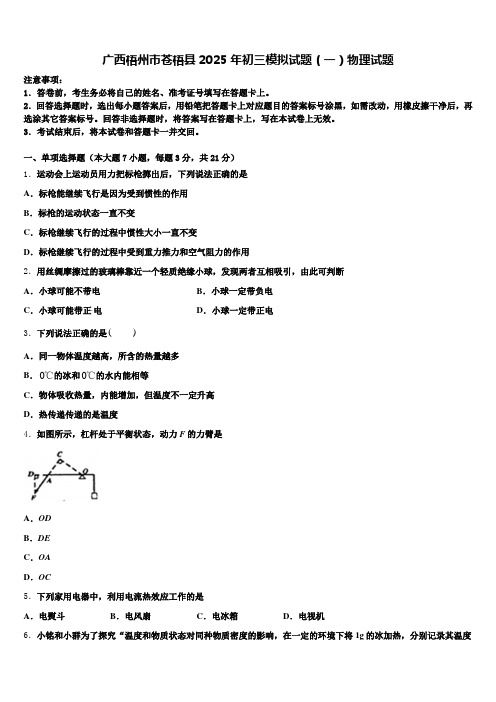 广西梧州市苍梧县2025年初三模拟试题(一)物理试题含解析