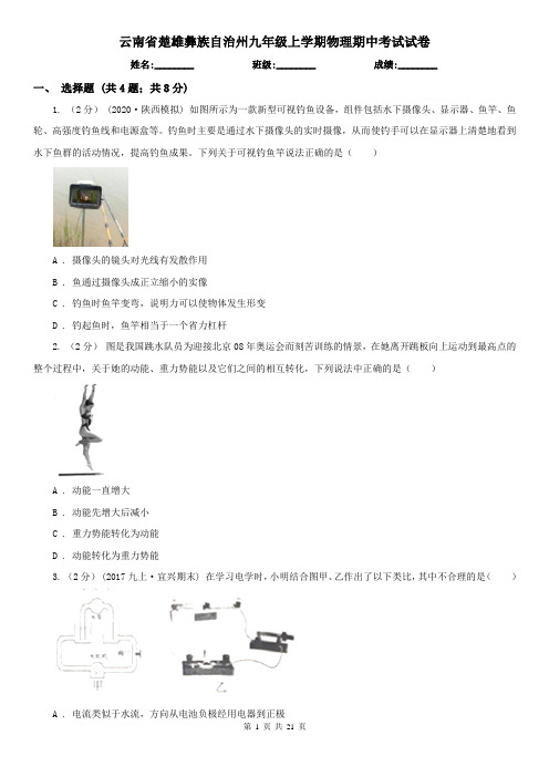 云南省楚雄彝族自治州九年级上学期物理期中考试试卷