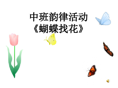 中班韵律活动 蝴蝶找花 ppt课件