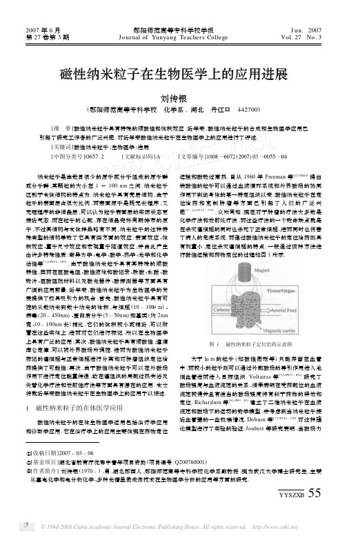 磁性纳米粒子在生物医学上的应用进展