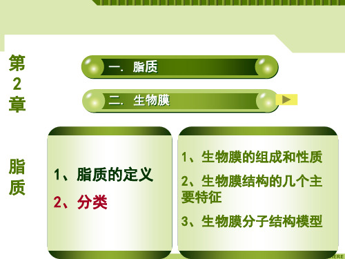 脂质