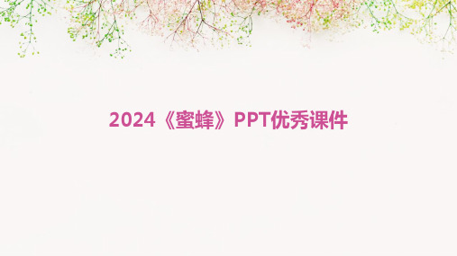 2024《蜜蜂》PPT优秀课件