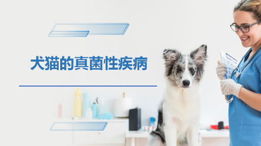 犬猫的传染病(孢子菌病)-宠物医生课件