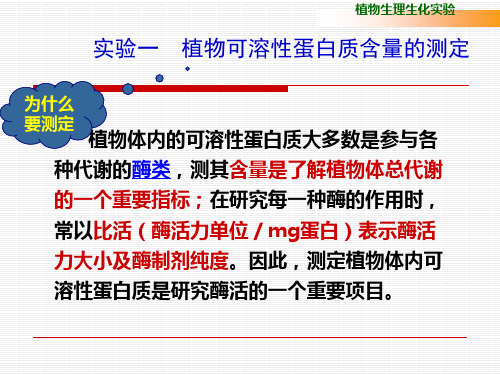 植物生理生化实验--蛋白质