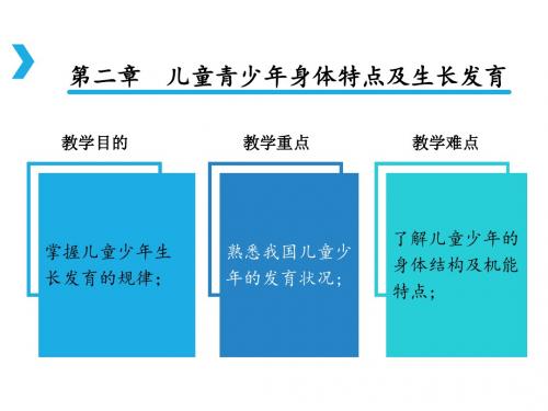 儿童青少年身体特点及生长发育