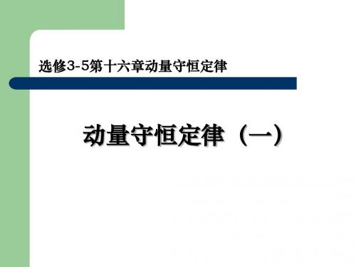 选修3-5动量守恒定律1